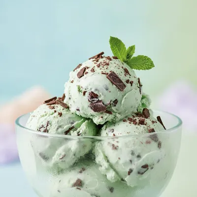 Mint Choc Chip